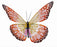 Butterfly Orange Metal 22" x 14"