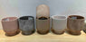 Pots Terracotta 5.5" Assorted Colours