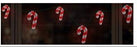 Candy Cane 6" & 8" Light String