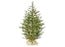 Tree Artificial 6'x37" Sapling Spruce