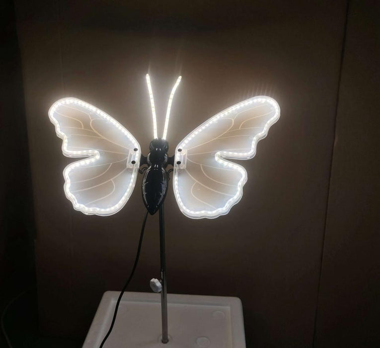 Butterfly 40 cm Warm White Light