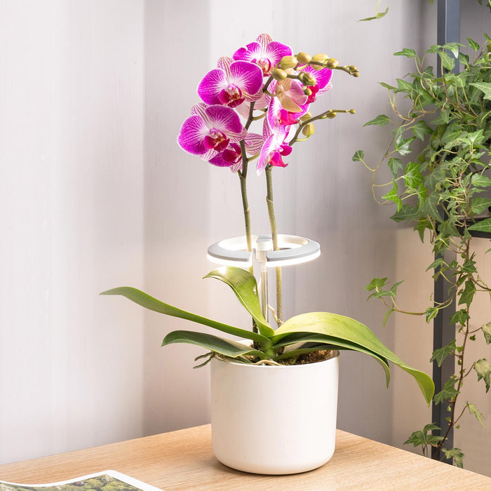 Grow Light LED Halo Ring 10W