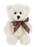 Teddy Tiny Tidings