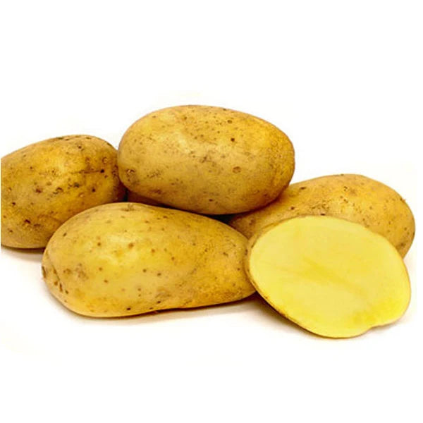 Seed Potato - Bintje 5 lb Yellow