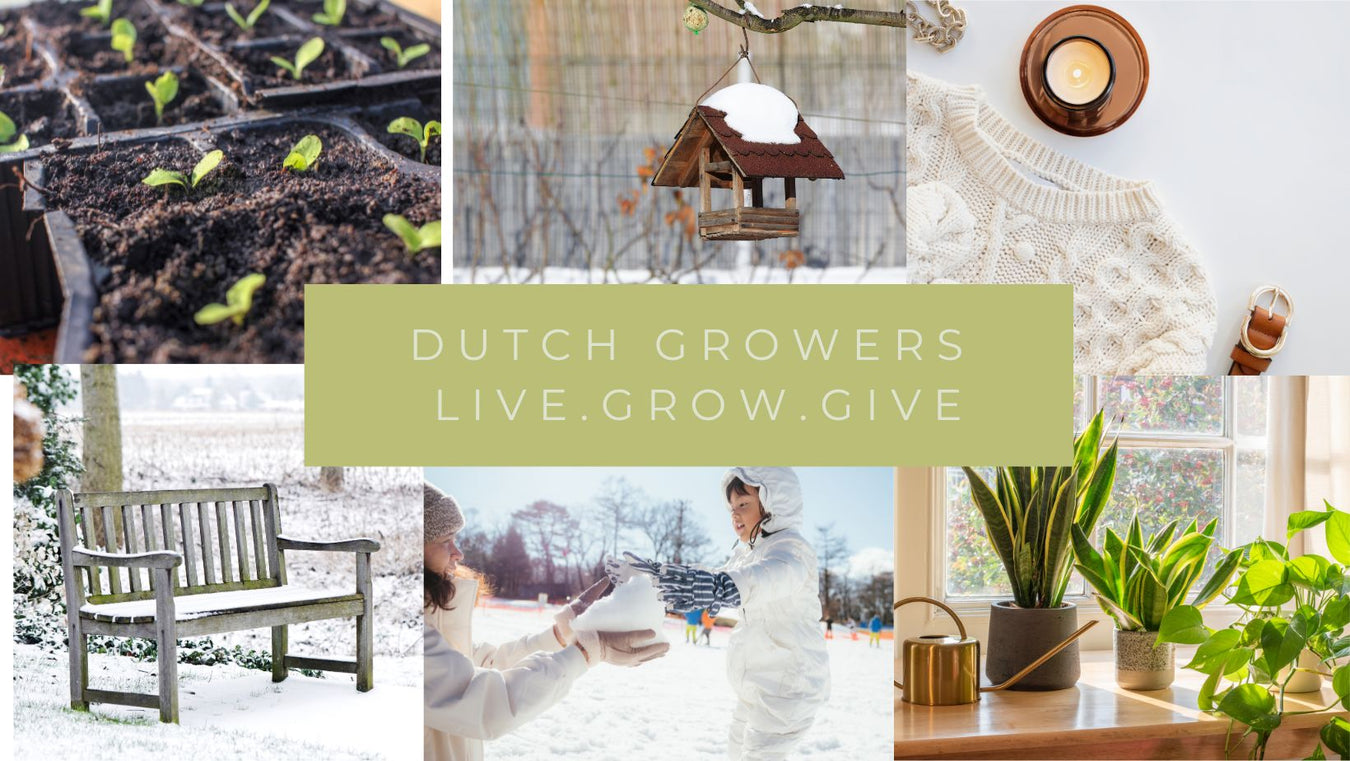 Dutch Growers — Dutch Growers Regina