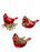 Orn 3" KK Cardinal