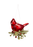 Orn 3" KK Cardinal