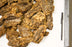 Bark Nuggets