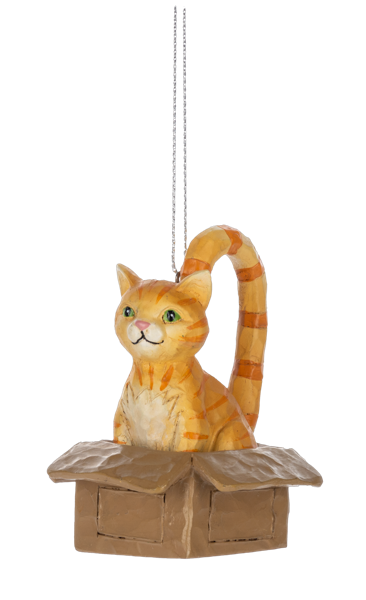 Orn Cat in Box