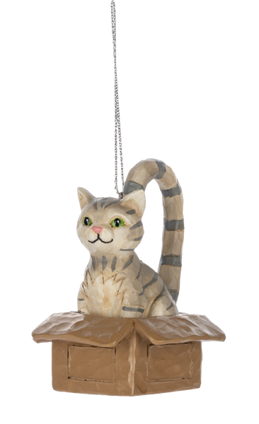 Orn Cat in Box