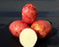 Seed Potato - AC Peregrine Red 5lb