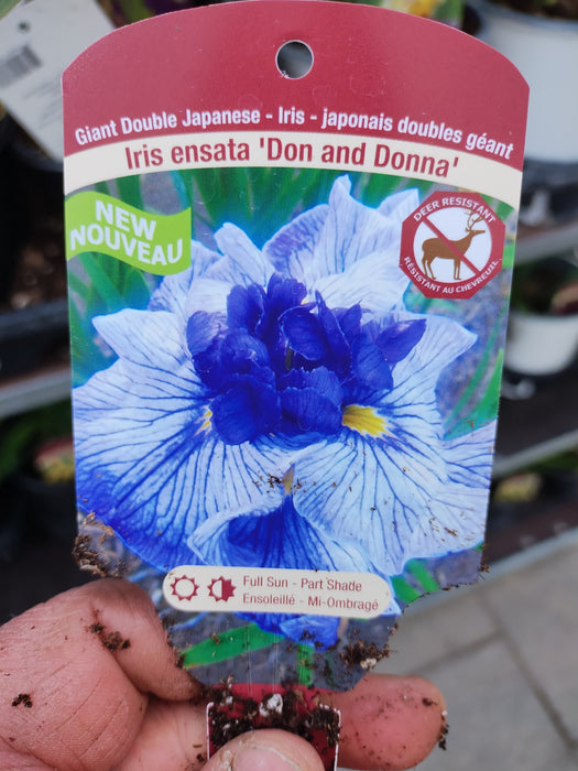 Iris Ens Don and Donna