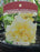 Hemerocallis Schnickel Fritz 15cm Daylily