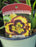 Hemerocallis Pansy Face Charmer 15cm Daylily
