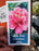 Peony Paeonia Itoh Julia Rose #2