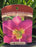 Hemerocallis Entrapment 15cm Daylily