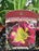 Hemerocallis Night Beacon 15cm