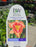 Hemerocallis Lake of Fire 17cm Daylily
