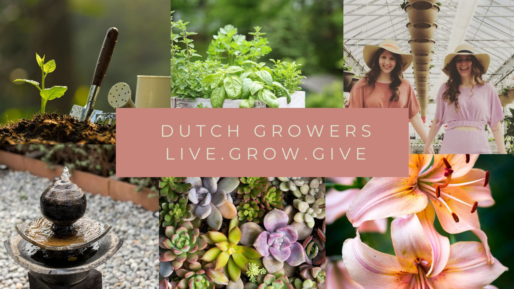 Dutch Growers — Dutch Growers Regina
