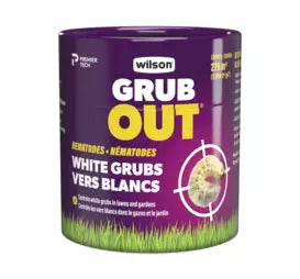 Grubout Nematode