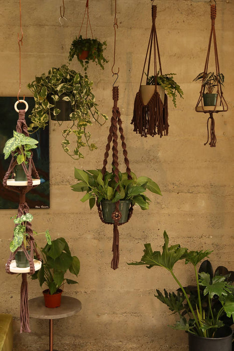Original Plant Hanger