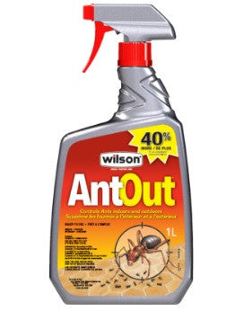 Ant Out - Ready To Use Solution- Spray
