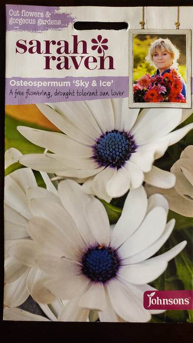 Osteospermum 'Sky & Ice' - Seed Packet - Sarah Raven