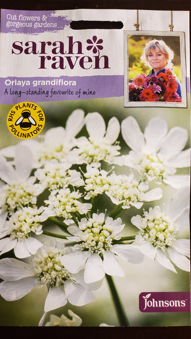 Orlaya grandiflora - Seed Packet - Sarah Raven