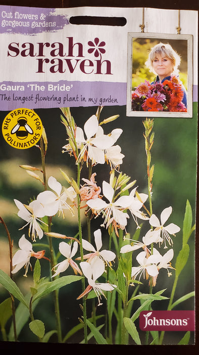 Gaura 'The Bride' - Seed Packet - Sarah Raven