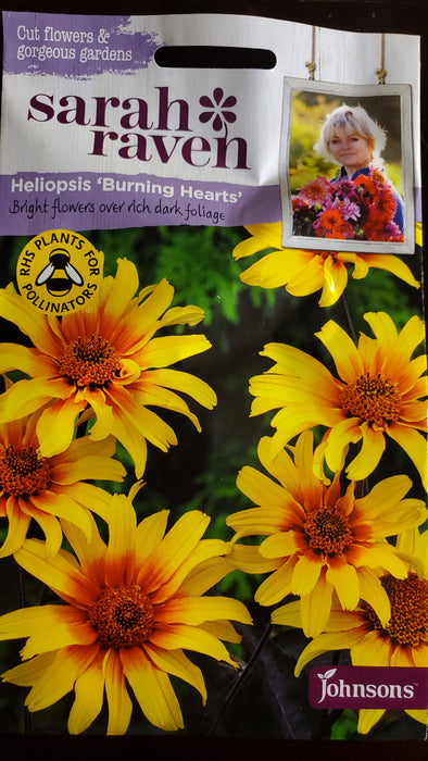 Heliopsis 'Burning Hearts' - Seed Packet - Sarah Raven