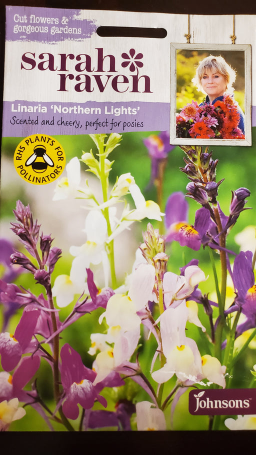 Linaria 'Northern Lights' - Seed Packet - Sarah Raven