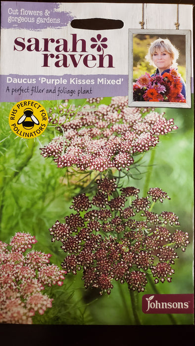 Daucus 'Purple Kisses Mixed' - Seed Packet - Sarah Raven