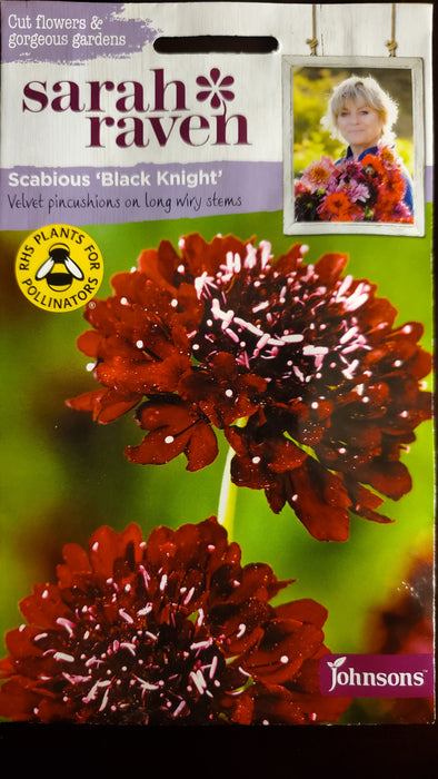 Scabious 'Black Knight' - Seed Packet - Sarah Raven