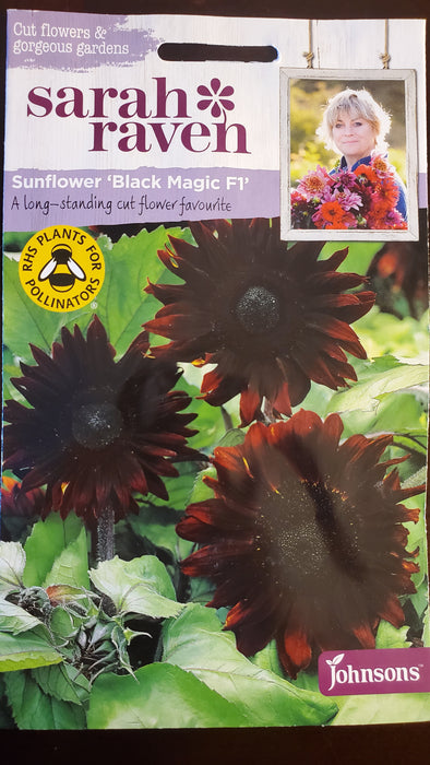 Sunflower 'Black Magic F1' - Seed Packet - Sarah Raven