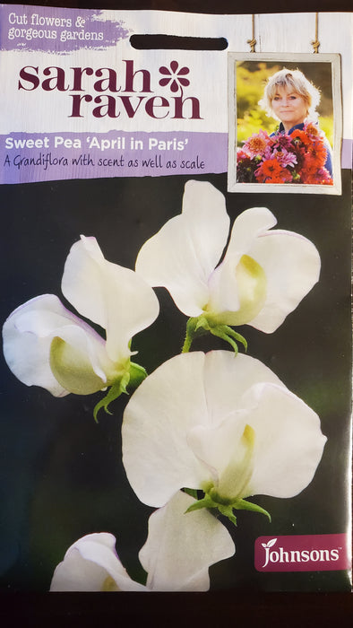Sweet Pea 'April in Paris' - Seed Packet - Sarah Raven