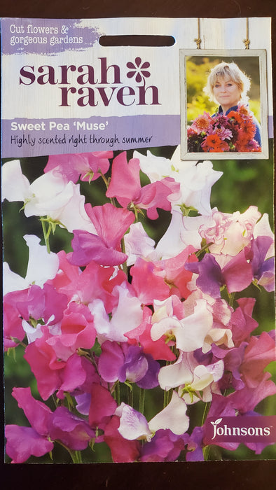 Sweet Pea 'Muse' - Seed Packet - Sarah Raven