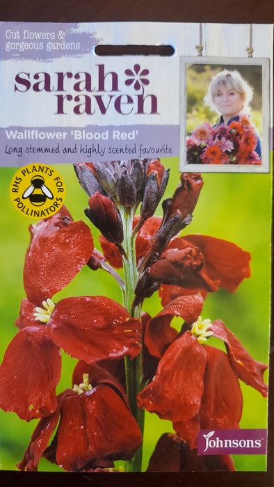 Wallflower 'Blood Red' - Seed Packet - Sarah Raven
