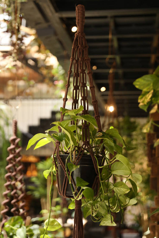 Dark Brown Plant Hanger