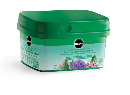 Miracle-Gro Evergreen 500g