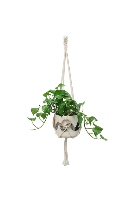 Plant Hanger w/ Wood Rings