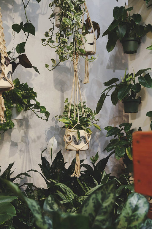 Plant Hanger w/ Wood Rings