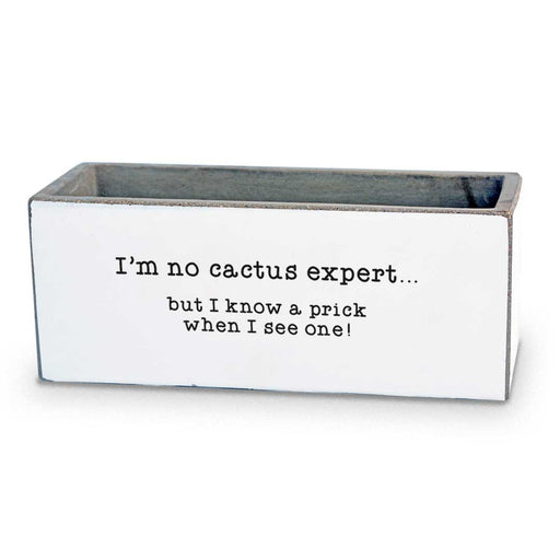 I'm No Cactus Expert | Succulent Pot
