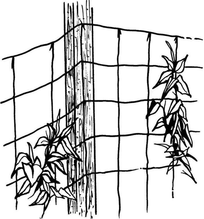 Trellis Net - Vine and Veggie - 5' x 30'