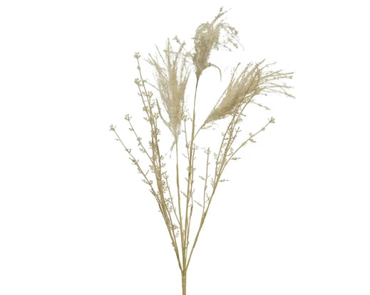 Plume grass Spray-Faux