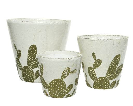 Pot Terracotta off white with cactus