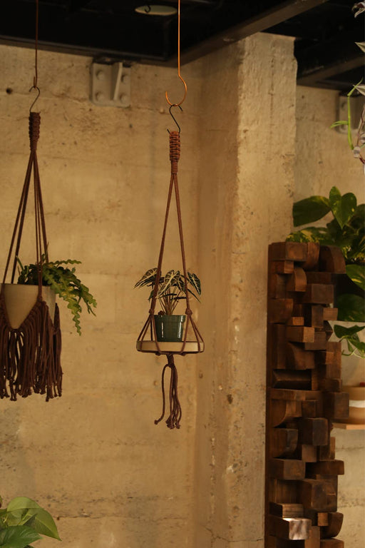 Minimal Plant Hanger