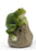 Frog with Sensor