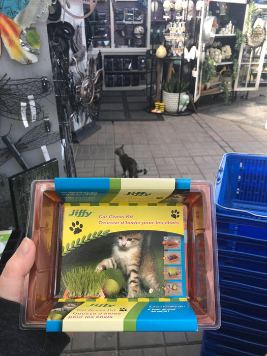 Cat Grass Kit - Jiffy