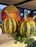 Pumpkins El Dorado Novelty