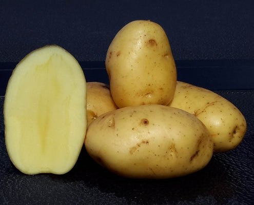 Potatoes -Seed Potatoes